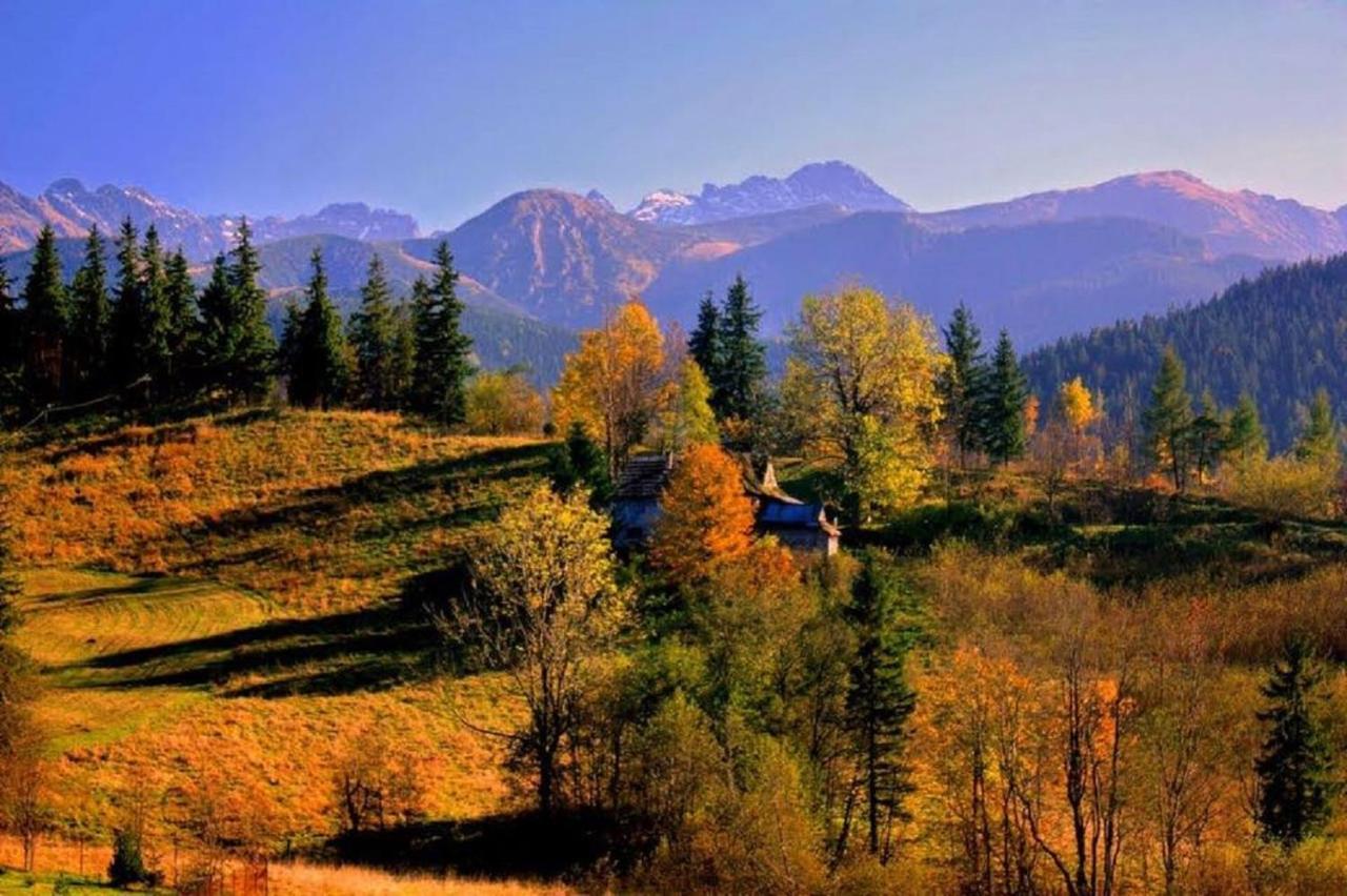 Willa Strazyska Zakopane Exteriör bild