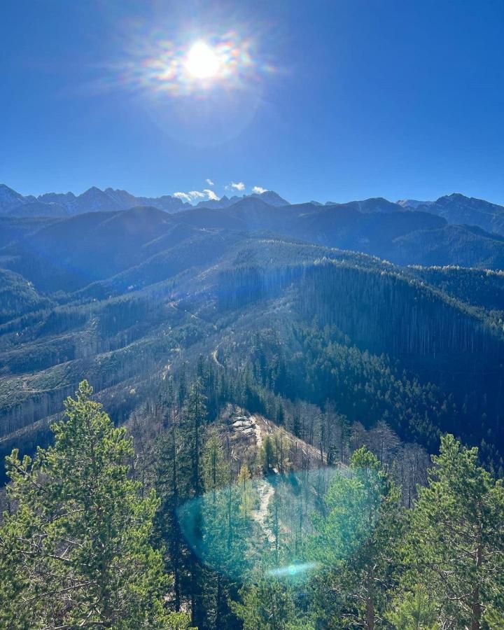 Willa Strazyska Zakopane Exteriör bild