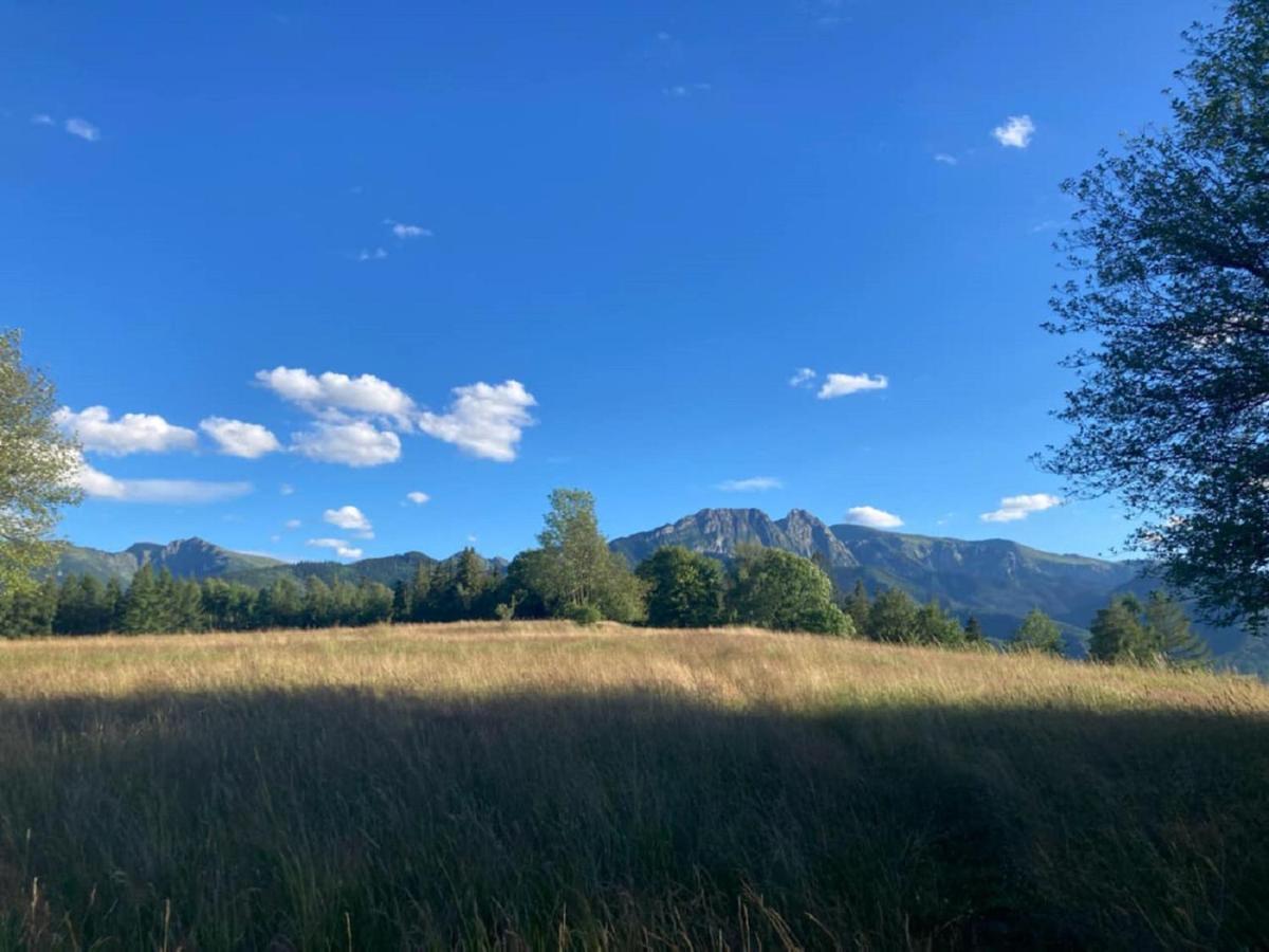 Willa Strazyska Zakopane Exteriör bild